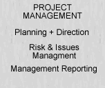 risks and issues graphic